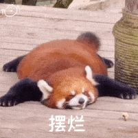  老板给钱老板给钱老板给钱丨第307期喵表情包