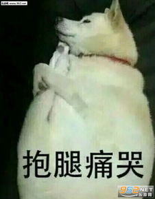  很丧表情包大全下载关于丧的表情包完整版下载乐游网游戏下载