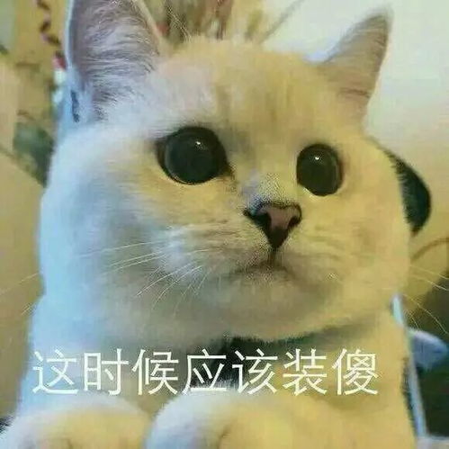  摄影大赛嘘这里又发现了宝藏