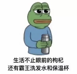  说好了一起白头到老,而你却掉光了头发拿什么拯救你我的头发