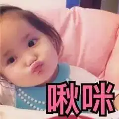 兔子吞脑袋表情包一套降