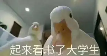  我在沈医挺好的期末复习小妙招