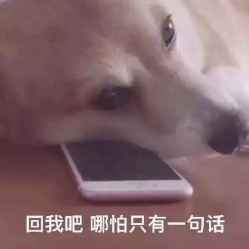  爱情没了新鲜感,会很危险,这谁都明白,但你知道怎么解决吗