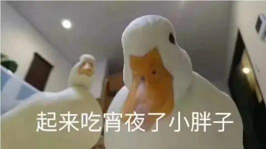 对不起鸭的表情包反派