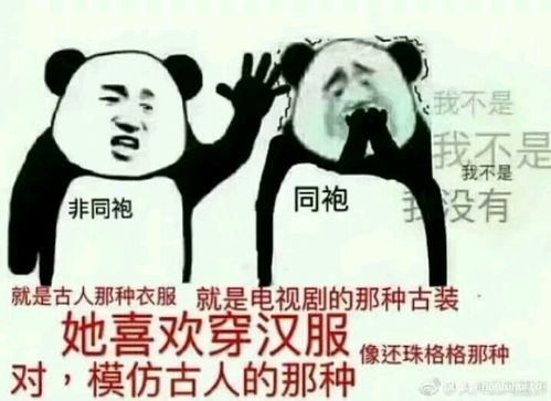  关于汉服线下活动的n件事