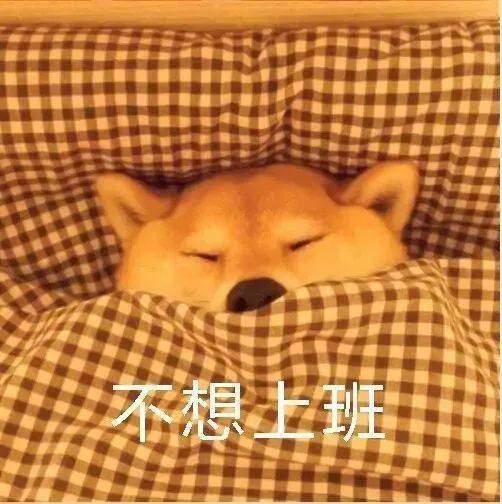  成都下雪啦好激动好大