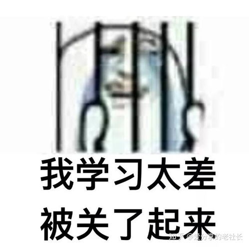  脚踏实地高中物理800道选择题题库,高考想考高分的抓紧刷题