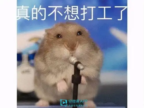 火出圈的打工人梗,是怎么一回事  火出圈的打工人梗,是怎么一回事