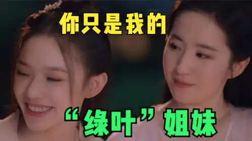  姐妹情深的前提是,你不能过得比我好梦华录p2