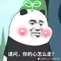 每天只分享发生在我们生活中那些好玩又有趣的事