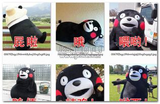 熊本熊口头语表情下载熊本熊口头语表情包绿色免安装版jz5u绿色下载站