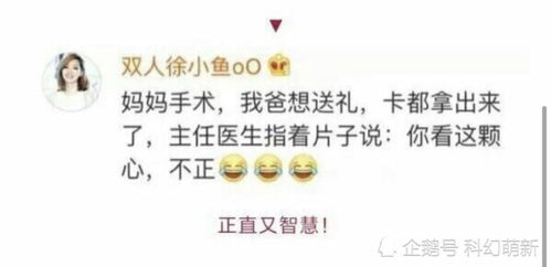  每日一笑,当鲨鱼被做成表情包会有多可爱