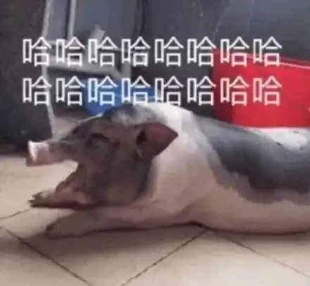 无奈表情包搞笑沙雕傻乐