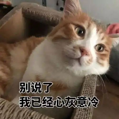  38岁离婚单身怎么了飒爽归来,女神依旧颜值在线皮肤