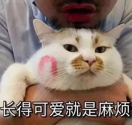  笑si只有学渣才懂的11种神奇复习方法,哈哈哈哈哈哈......