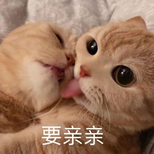  搞笑gif发现一个空投大家快来捡啊,同时九八k准备