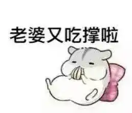 求老婆版仓鼠表情包