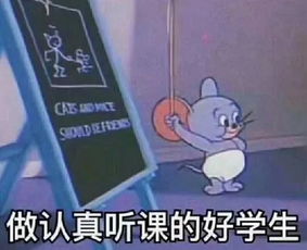  青协例会聚是一团火,散是满天星