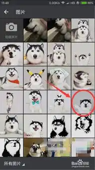  新版本微信怎么把图片添加到表情包