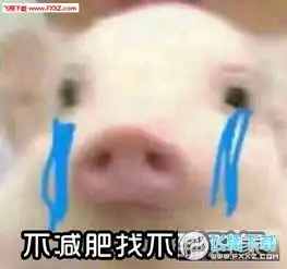  小猪猪减肥系列表情包下载小猪猪减肥表情包无水印版下载飞翔下载