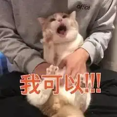  微信搜一搜推出2019年度表情包