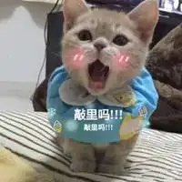  敲尼玛干里凉表情包微信头像图片大全