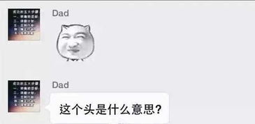  呵呵如何向爸妈解释微信表情包的正确含义