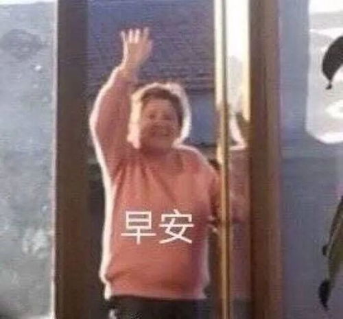  表情包2021.11.22