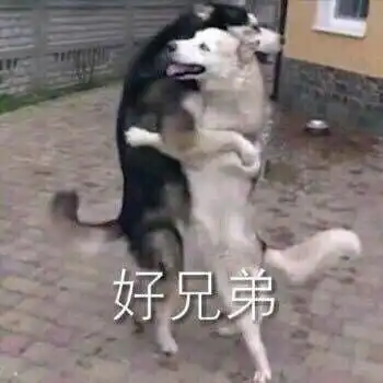  有没有关于抱抱的表情包呀