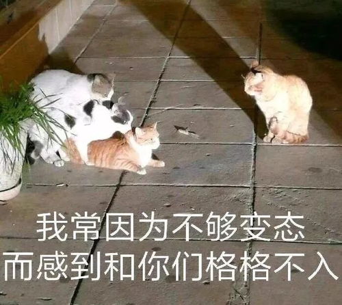  19国家线公布,自以为是个王者,其实是个青铜