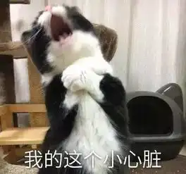  一条全是聊天常用的表情包,都是新图