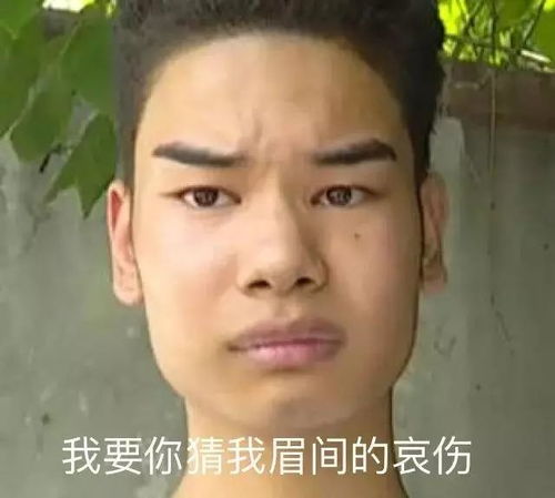  牛津哥大mit,2000好评的国际课外活动在寒假帮你拿下顶尖名校insight视界5天前
