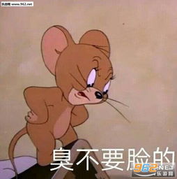  不知道为什么柠檬它围绕着我表情包图片人类四大本质表情包下载乐游网游戏下载