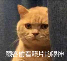  重庆深度游