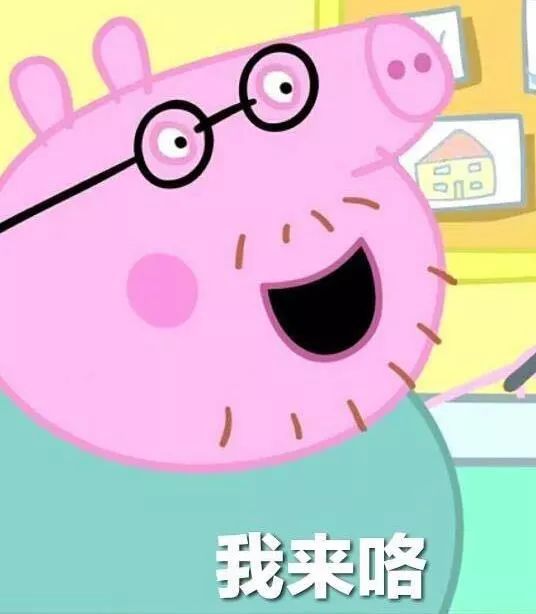  猪年摸猪头,万事不用愁猪年摸猪腿,顺风又顺水