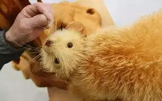  一组栩栩如生的动物雕塑