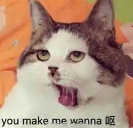 旺仔服表情包小熊猫