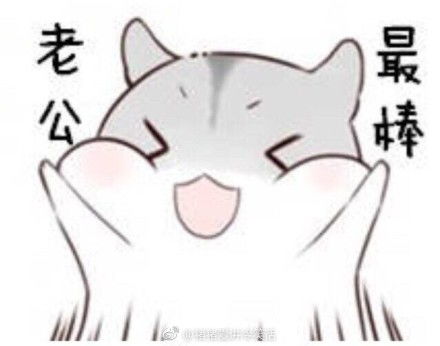  情侣卡通表情包