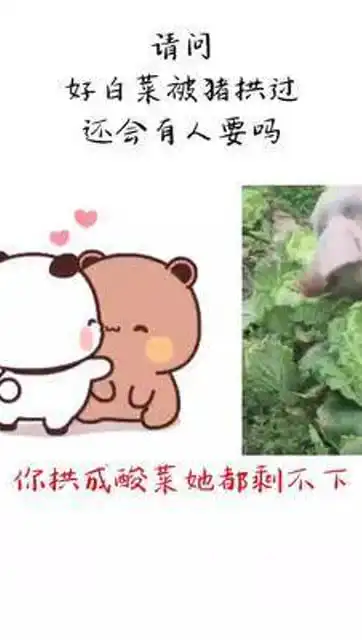  好白菜被猪拱过还会有人要吗表情包内容过于真实猪拱白菜