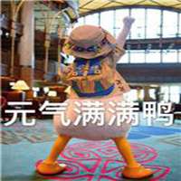  唐老鸭冲鸭表情包微信头像图片大全