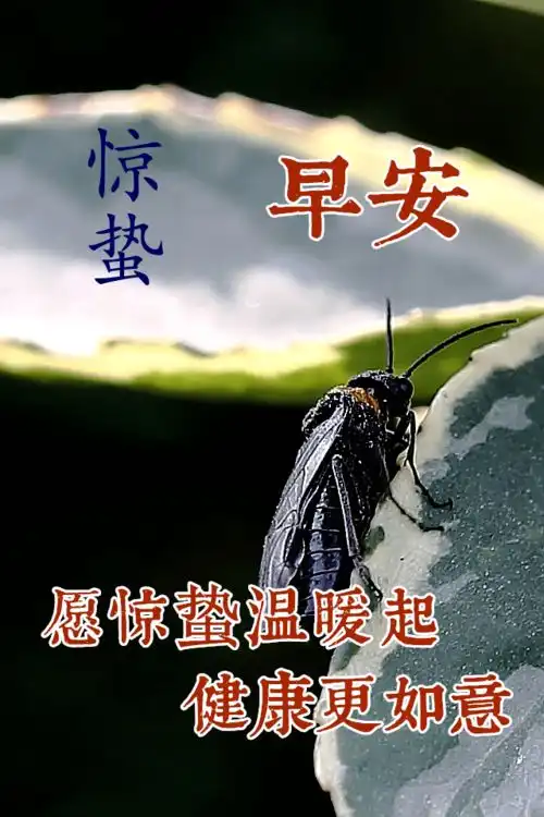  2021惊蛰问候语温馨动态图片,早上好表情动态图片大全