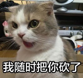  爆笑段子有你在,这辈子我是甭想有钱了