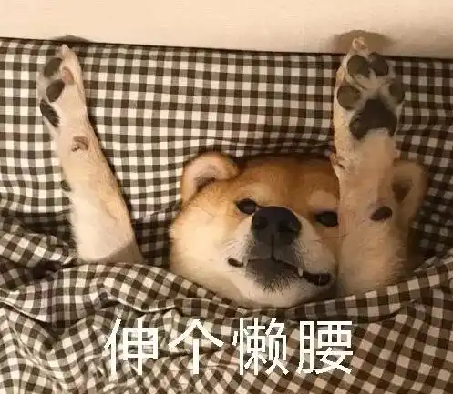 姐妹情深的表情包安慰犬