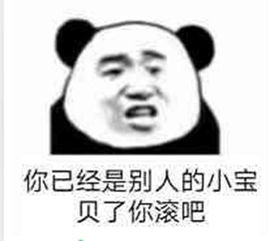  熊猫调侃怼人表情你们这么能聊,求求你们原地结婚吧