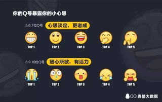 欢迎的表情包大数据
