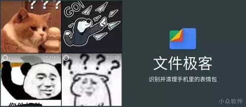 微信表情包什么意思网络