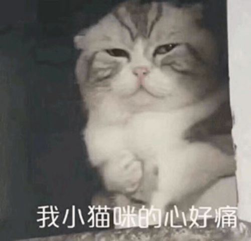  剃秃2cm发际线头顶冰淇淋是谁告诉赵露思这么做显脸小的