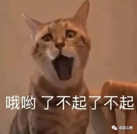  心理学教你洞察人心