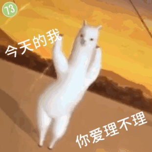  王者荣耀有什么适合女孩子玩的硬辅吗