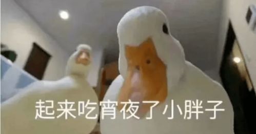  綦江宵夜图鉴天冷,搞点宵夜吃吃吧深夜慎点